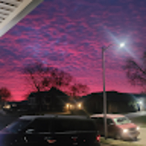 Meet your Posher, Jayda - Picture 1 of 1